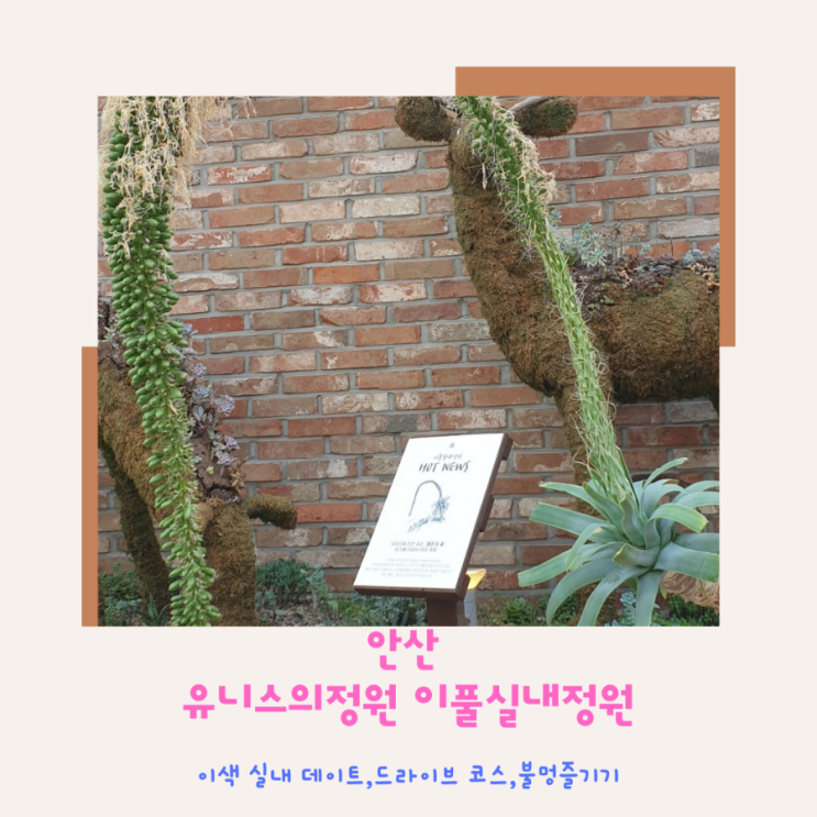  안산 반월 유니스의정원 식물원과 레스토랑이 있는 이색 실내 데이트 드라이브 코스