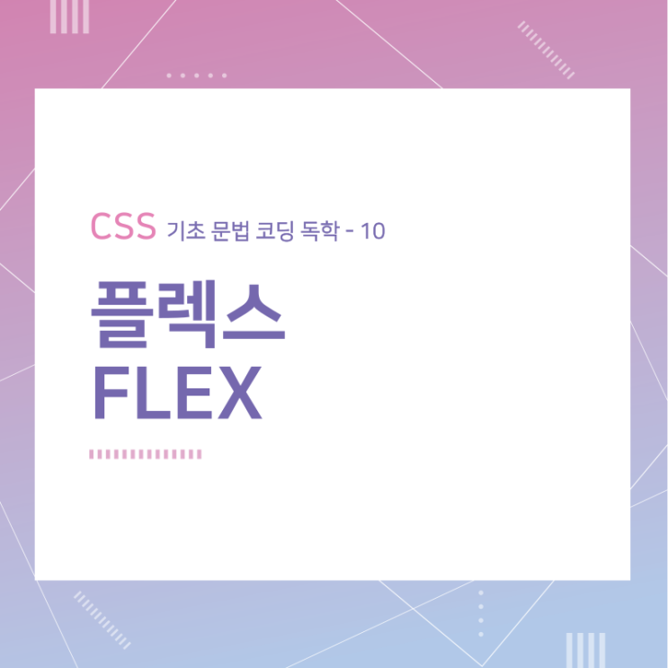 CSS 기초 문법 코딩 독학 / 플렉스 (Flex) / 10