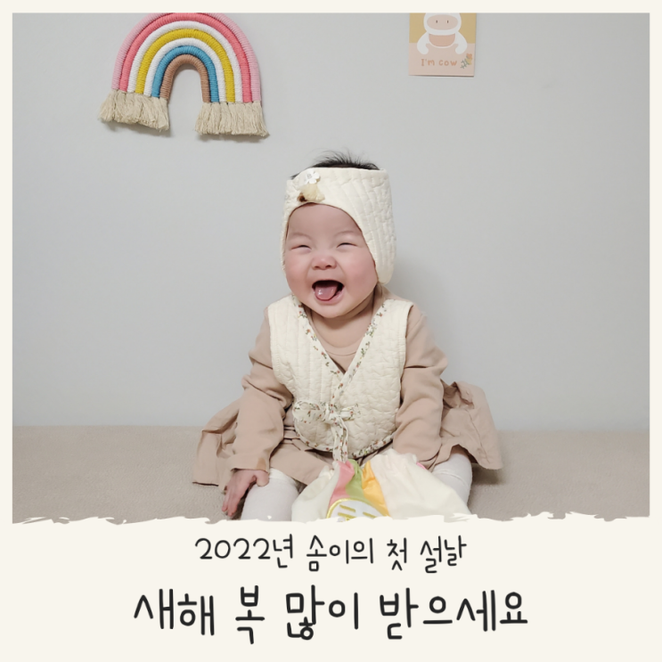  2022년 생후 230일 첫 설날을 맞은 솜이 세뱃돈도 받았지요