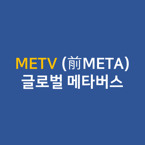 METV (前META) ETF - 글로벌 메타버스 ETF