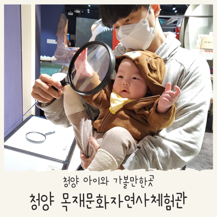  청양 목재박물관 아이와 가볼만한곳 청양 목재 문화 자연사 체험관