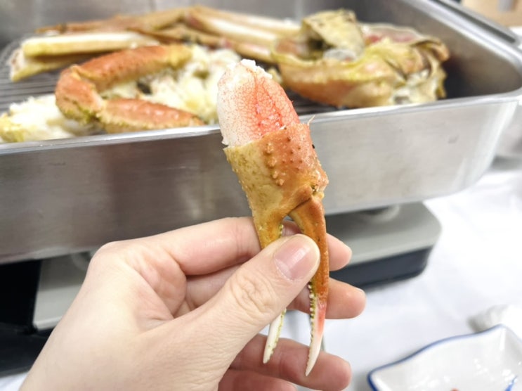  포항시 영일만 마라도 회식당 대게코스 : 군계일학을 찾아서