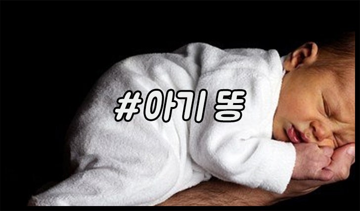 아기 똥 꿈해몽 만지는 꿈 치우는 꿈 닦아주는 꿈 똥기저귀 갈아주는 꿈 아기가 똥누는 꿈 똥....
