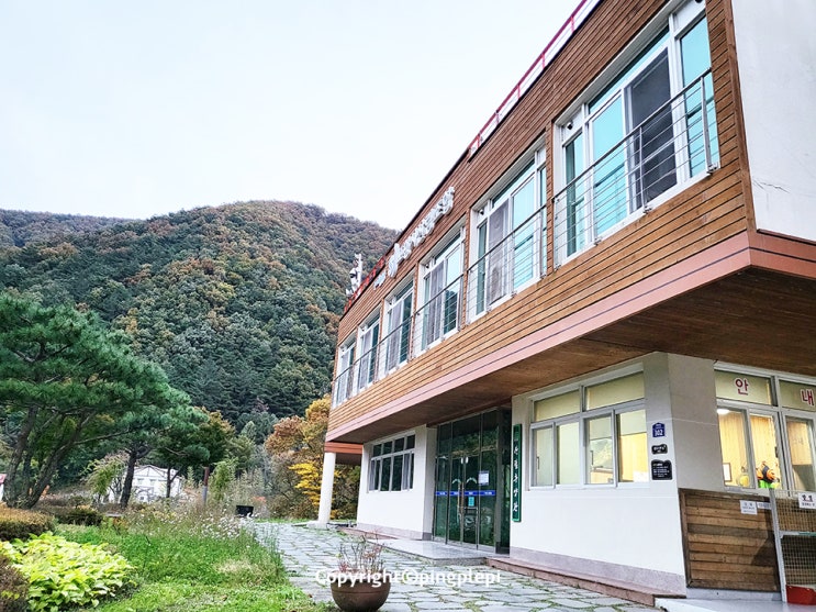  자연을 한 몸에 느낄 수 있는 포항의 비학산자연휴양림