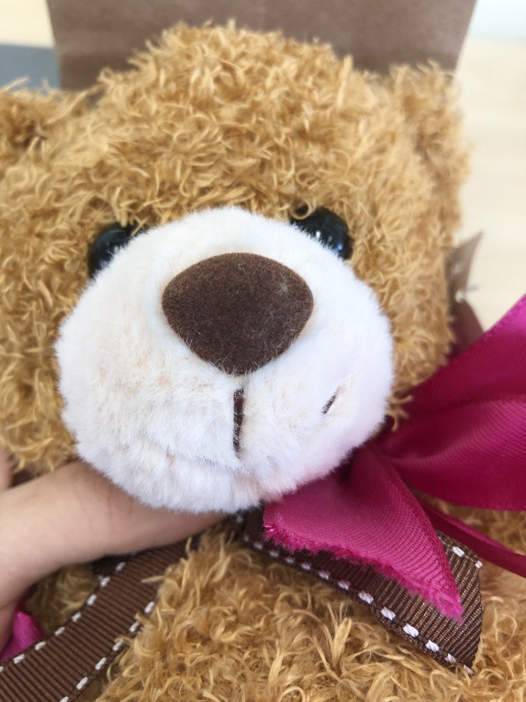  [IBDP 일기] 파이널 D-69 몸도 마음도 아프다