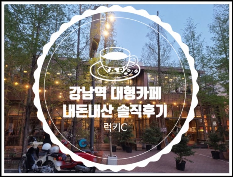  강남대형카페 알베르 alver 내돈내산 솔직후기