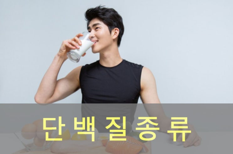 단백질 종류와 하루 섭취량은?