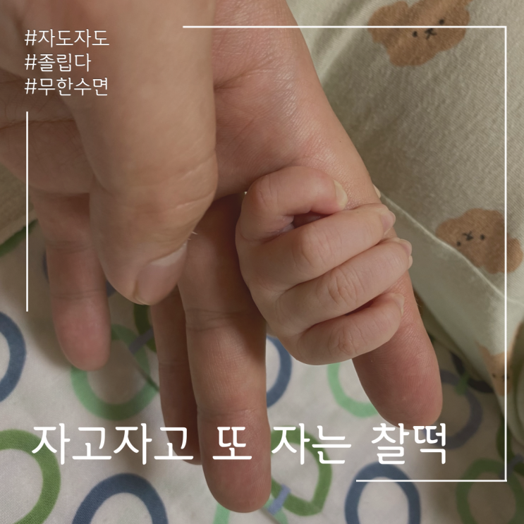  자도자도 또 졸린 신생아 찰떡이