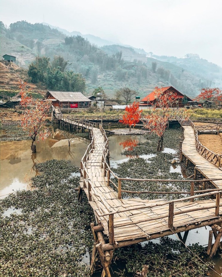베트남의 숨겨진 보석 "사파" 관광지