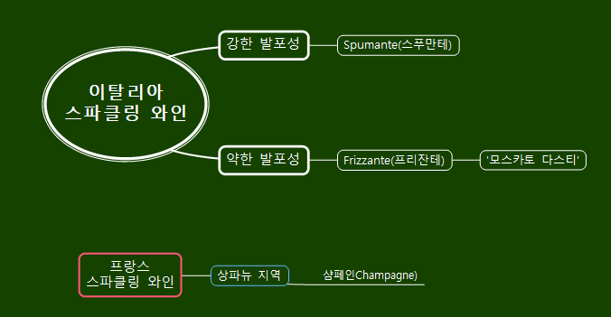 칸티 모스카토 다스티 추천 와인? 왜?