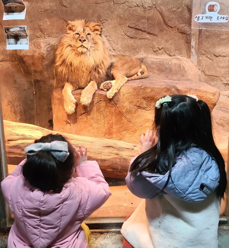  김해 부경동물원_ 주말 아이랑 장유 가볼만한곳