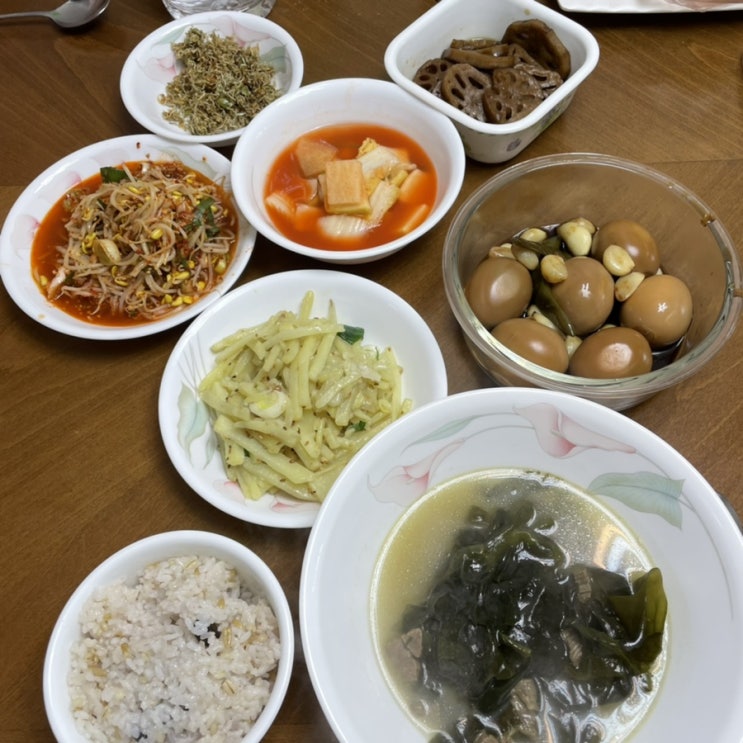  2월 1주 2주 집콕 일콕 죽은듯이  엄마밥먹으며 살아가는 일상