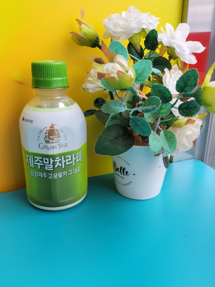 제주 녹차맛을 가득 담았다 - 롯데 제주말차라떼  - 편의점신제품 내돈내산 솔직리뷰