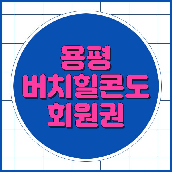  용평 버치힐콘도회원권 버치힐풀구좌 시세를 알려드립니다.