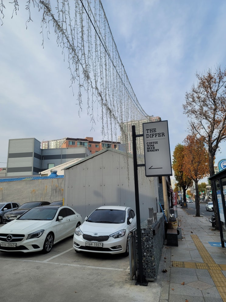  대구 중구 비숑 카페 사진찍기 좋은 카페 / 더 디퍼