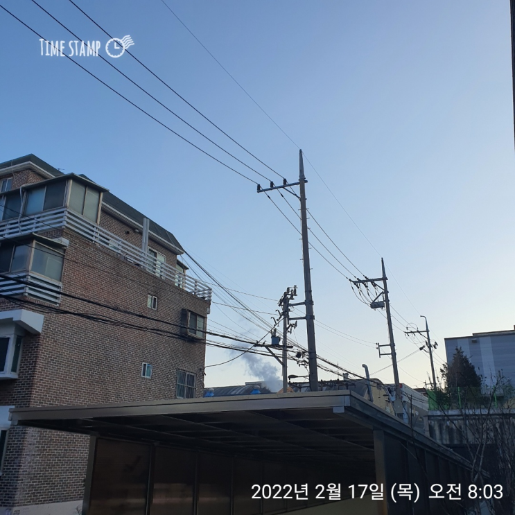  알파카모닝 20일차! 뭔 시간이 이렇게 빠르냐!