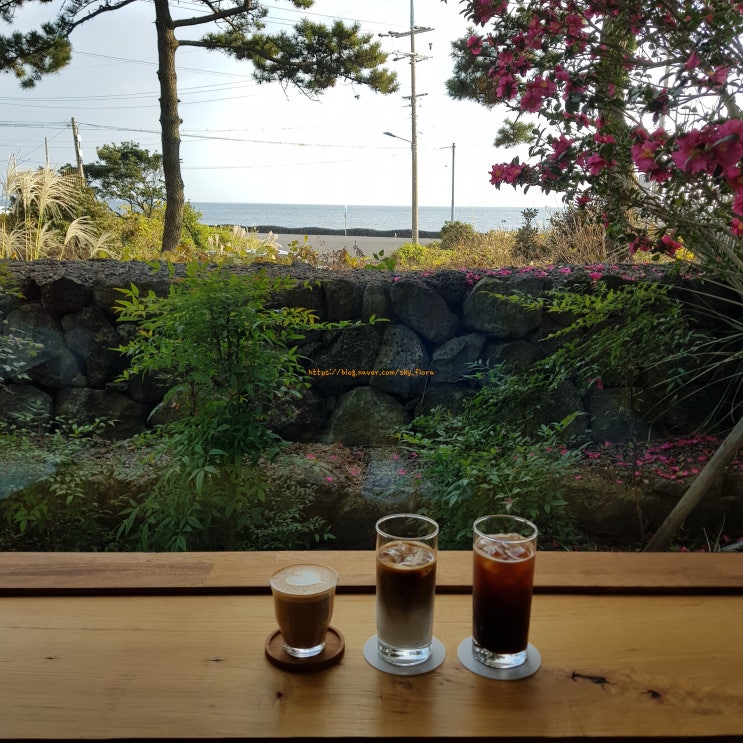 아주르블루 맛있는 커피 해변뷰 맛집(인생 첫 제주 여행기 4)