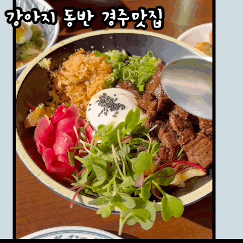  애견동반 경주여행기 황리단길공영주차장/료미