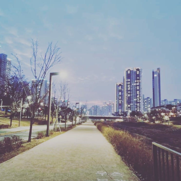 좋아하는 장소 동탄 산책로가 좋아요!!