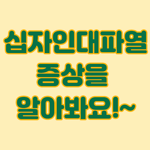  스포츠부상의 종류, 무릎통증의 대표적인 십자인대파열을 알아봐요.