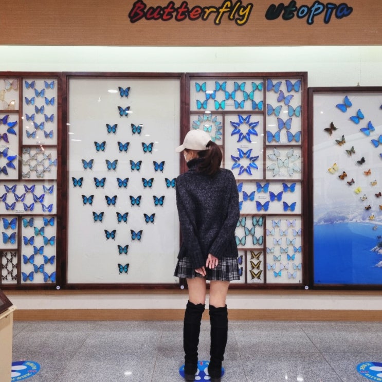  여수 아이와 가볼만한 곳 무료입장 가능한 자산공원 곤충박물관