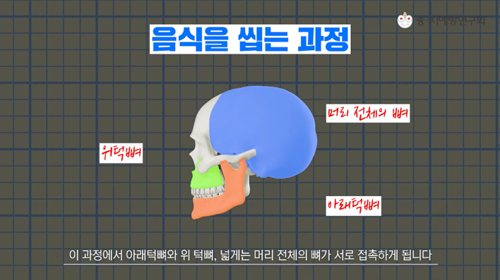 껌만 씹어도 면역력이 증가한다? 인생이 달라지는 껌 씹기 팁