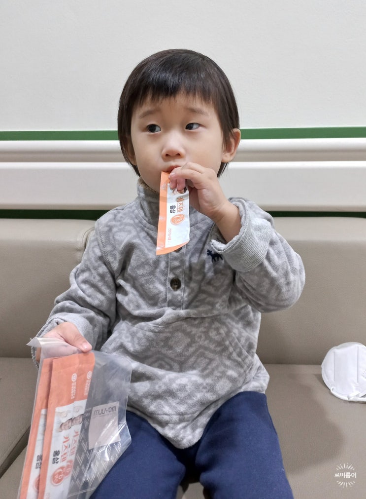  유아 홍삼 아이 면역력 키즈텐 어린이 홍삼젤리