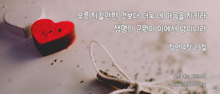 누가복음 6장 누가복음 6장
