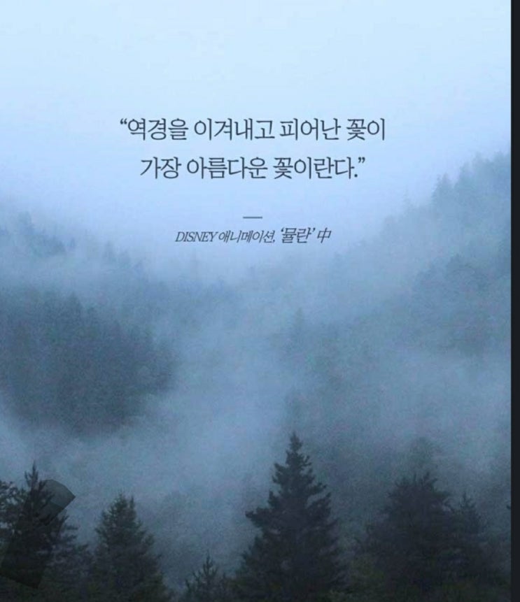  부거사이 [부동산 뉴스와 블로그] 2월 18일(금)
