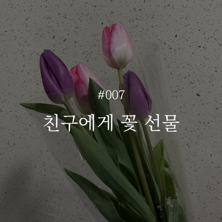  낭만 챌린지 007 :: 친구에게 꽃 선물