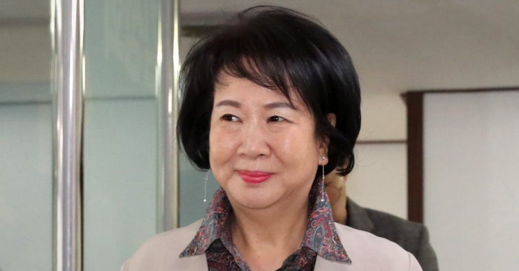  손혜원 전 국회의원 나이 학력 고향 프로필