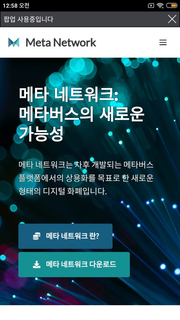  [메타 네트워크] 메타버스 대형 프로젝트. 출시 3일된 극초기 코인 선점 Meta Network