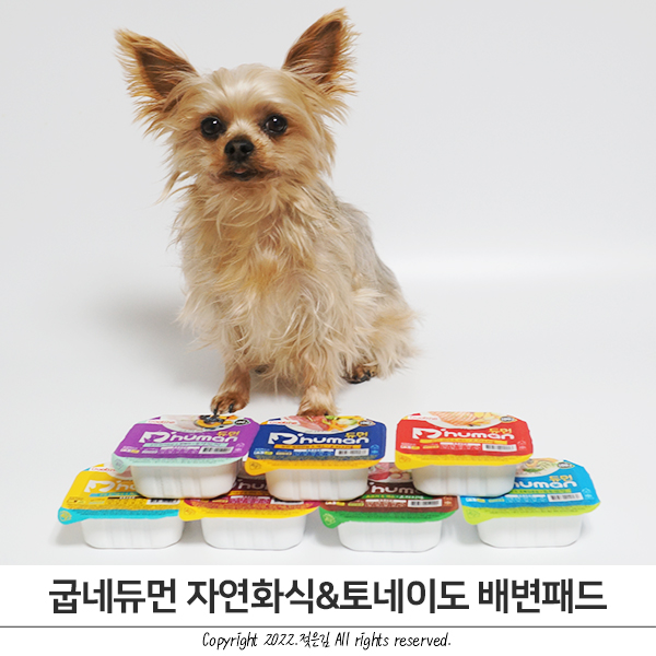듀먼 강아지화식과 토네이도 배변패드 방이가 더 행복하게! 듀먼 강아지화식과 토네이도 배변패드 방이가 더 행복하게!