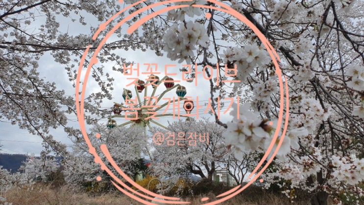  나의 드라이브코스 중 하나인 가평 북한강 드라이브 코스!! (feat. 벚꽃드라이브, 벚꽃놀이, 벚꽃명소, 봄꽃 개화시기)