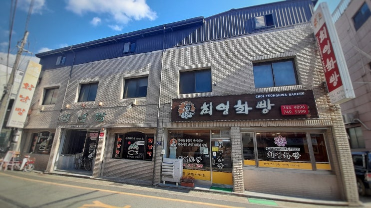  찾아가 볼 만한 경주빵 맛집 모음