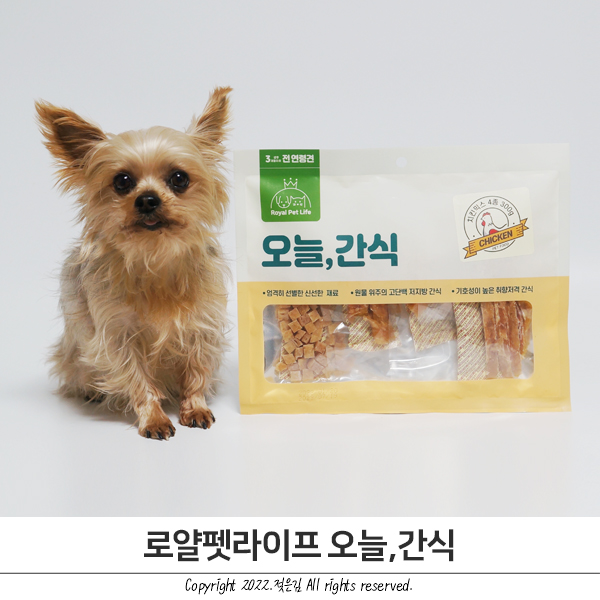 강아지간식 오늘간식 반려견간식샘플 받아보세요 강아지간식 오늘간식 반려견간식샘플 받아보세요