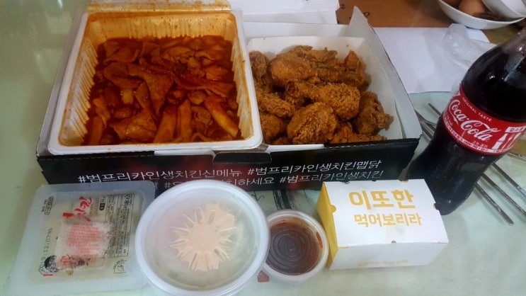  범프리카인생치킨 내돈내산