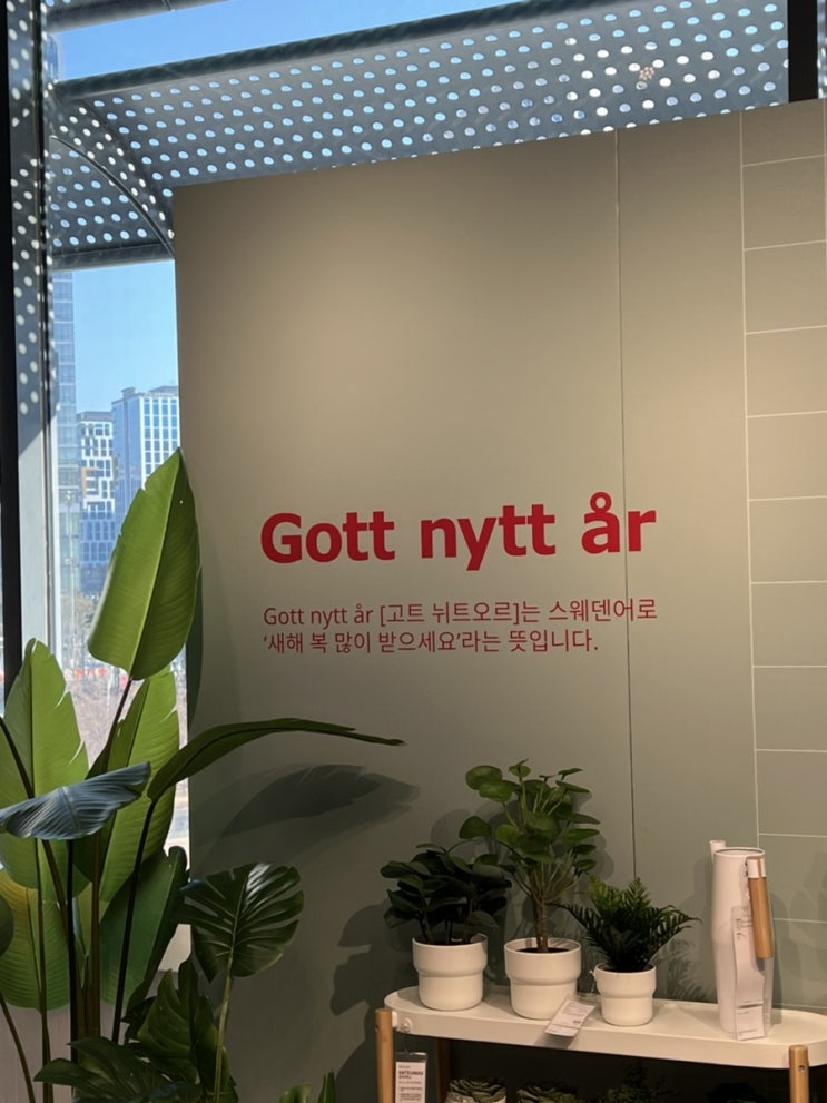  1월