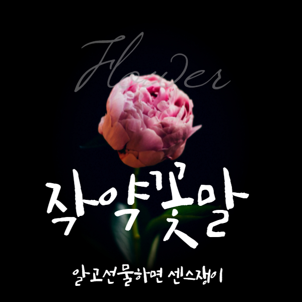  작약 꽃말