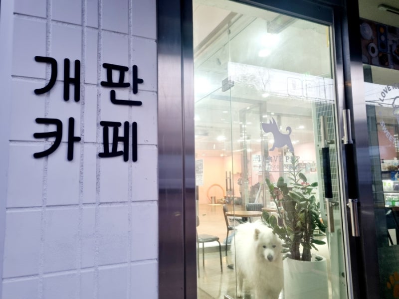 개판카페