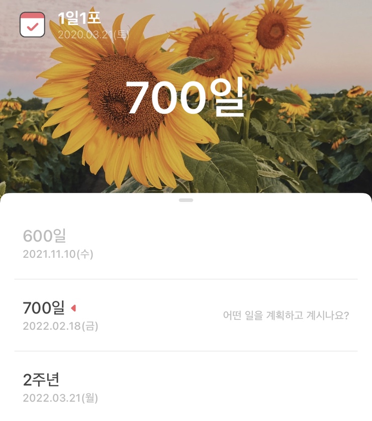  킴찹 블로그 1일 1포 700일, 기억에 남는 포스팅은?