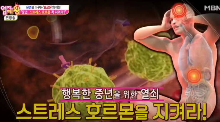  중년의 건강 지키기_스트레스 받을 때 이렇게 해야 한다(엄지의 제왕)