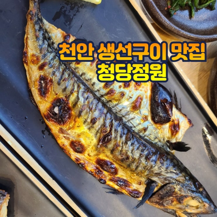  천안 생선구이 깔끔한 고등어구이 청당동 맛집 청당정원 재방문각!