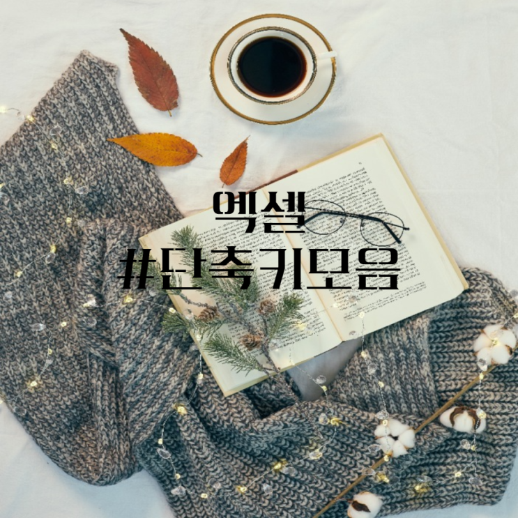  엑셀 단축키 모음 / 엑셀을 정복하기/ 단축키 모음을 알려드려요~!!