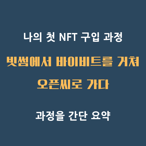 NFT 구매 성공 첫 NFT 구입과정