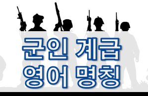  [영어 상식] 군인 계급의 영어 명칭 (US Troops Ranks) 및 부대 규모