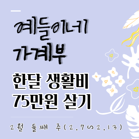  생활비 가계부 쓰기 2월 둘째 주 주간 정산