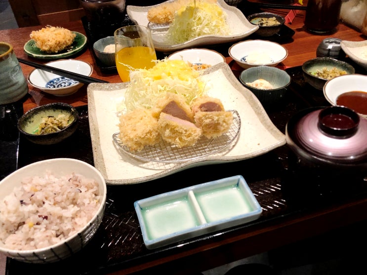  후쿠오카 텐진 [돈카츠 와카바] 후기, 거의 인생돈카츠?!