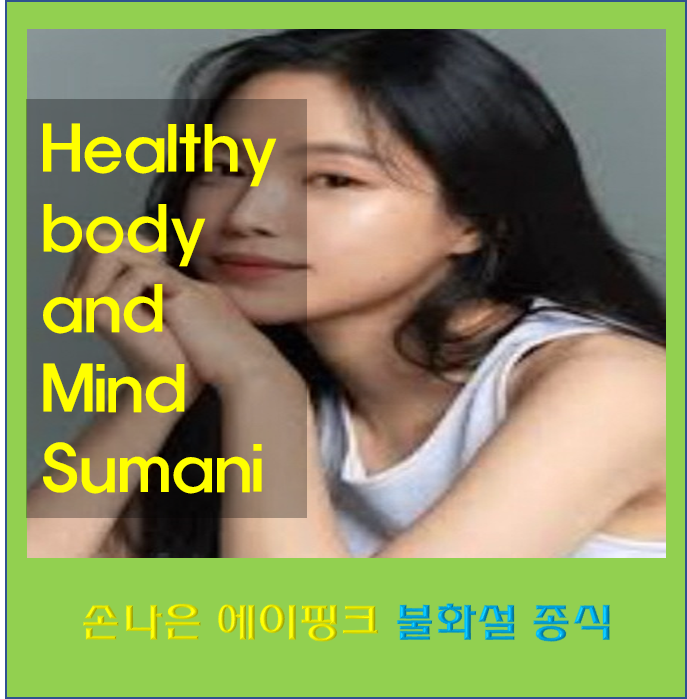 에이핑크 손나은 나이 키 불화설 종식 인스타 갤러리 프로필