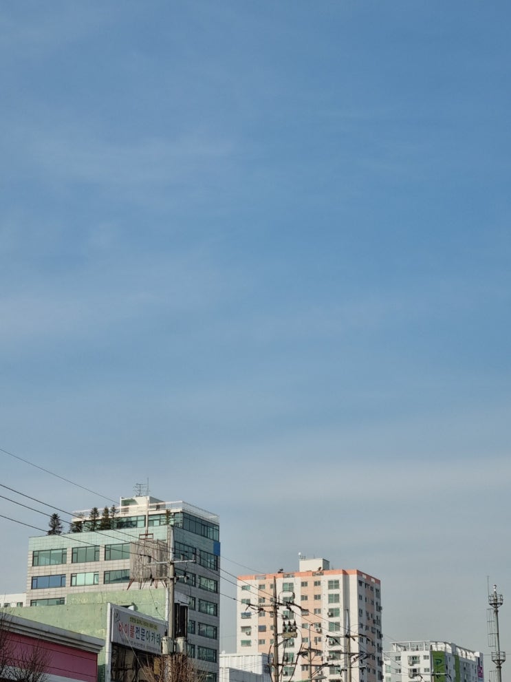  드라이브 이몽